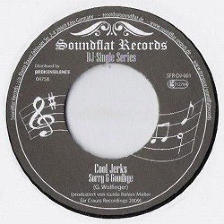 Sorry & Goodbye / Manchmal Möcht' Ich Dir Was Sagen