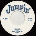 Hassie / The Broken Hip