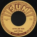 Cotton Crop Blues / Hold Me In Your Arms