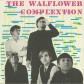 The Walflower Complextion