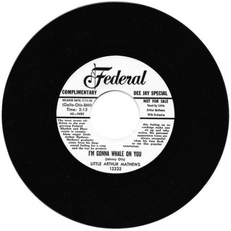 Someday Baby / I'm Gonna Whale On You