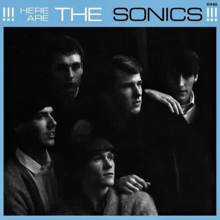 The Sonics - Here are The Sonics!!!