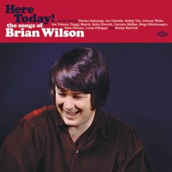Brian Wilson - Here Today! The Songs Of Brian Wilson