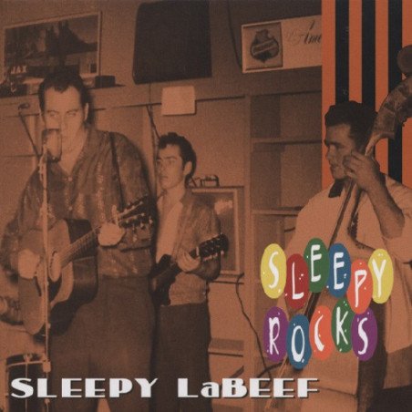 Sleepy LaBeef - Rocks