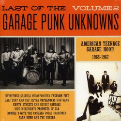 Last of the Garage Punk Unknowns - Vol. 2