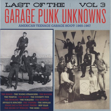 Last of the Garage Punk Unknowns - Vol. 3