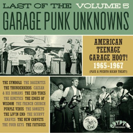 Last of the Garage Punk Unknowns - Vol. 5