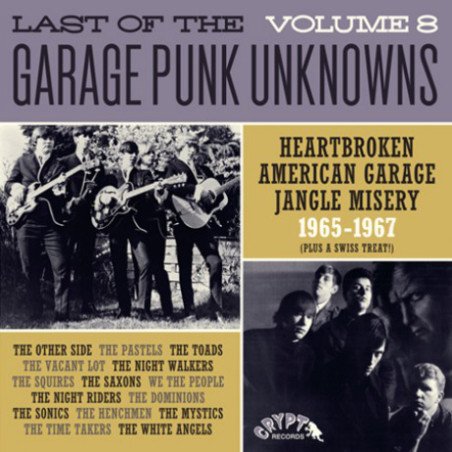 Last of the Garage Punk Unknowns - Vol. 8