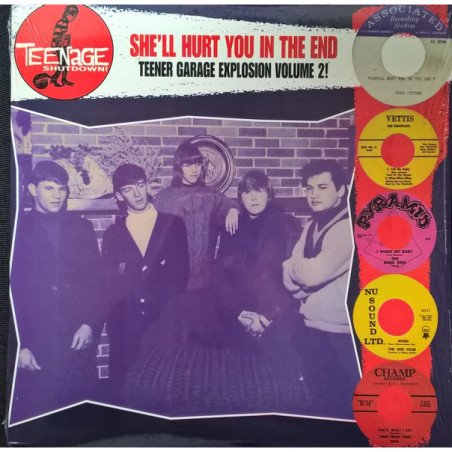 Teenage Shutdown - She´ll Hurt You in The End