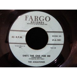 She's The One For Me / You