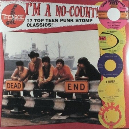 Teenage Shutdown - I'm a No-Count