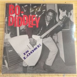 Fundas LPs - Galga 600 - Modelo Standar LPs - 100 unidades