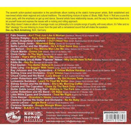 Louisiana & New Orleans R&B Rockers Vol. 13