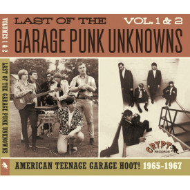 Vol. 1 & 2 - American Teenage Garage Hoot!