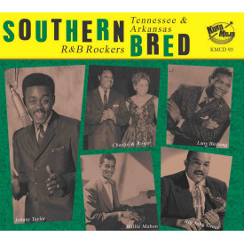 Louisiana & New Orleans R&B Rockers Vol. 13
