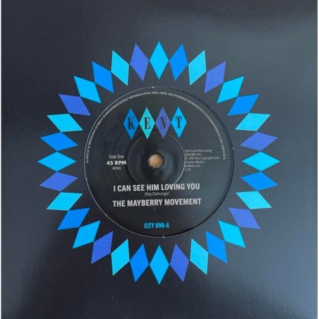 I Can See Him Loving You/What Did I Do Wrong?