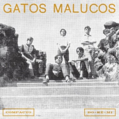 Gatos Malucos