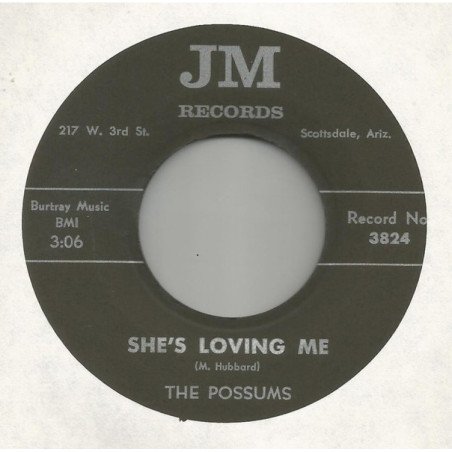 The Possums - She's Loving Me / King In His World