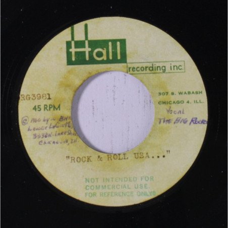 The Big Rocker - ROCK & ROLL U.S.A. / Have I Stayed Away Too Long