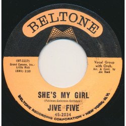 Rain / She's My Girl