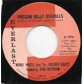 Possum Belly Overalls / Go Way Mr. Blues