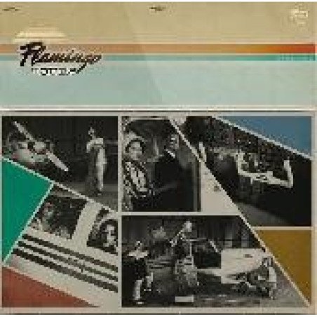 Flamingo Tours - Clap Your Fingers / What If I Miss You