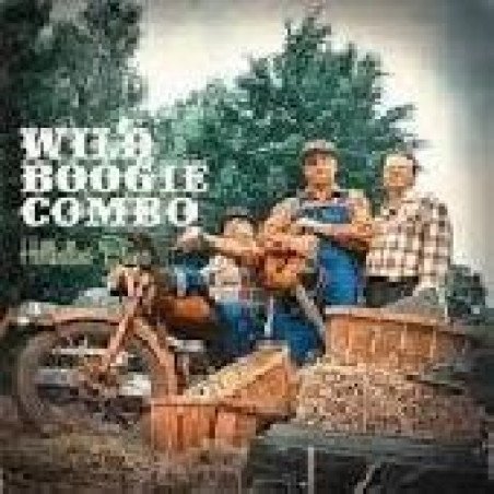 Wild Boogie Combo - Did you stop loving me baby?