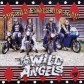 The Wild Angels Ride Again